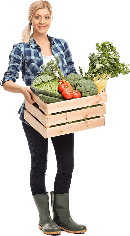 vegetables.png