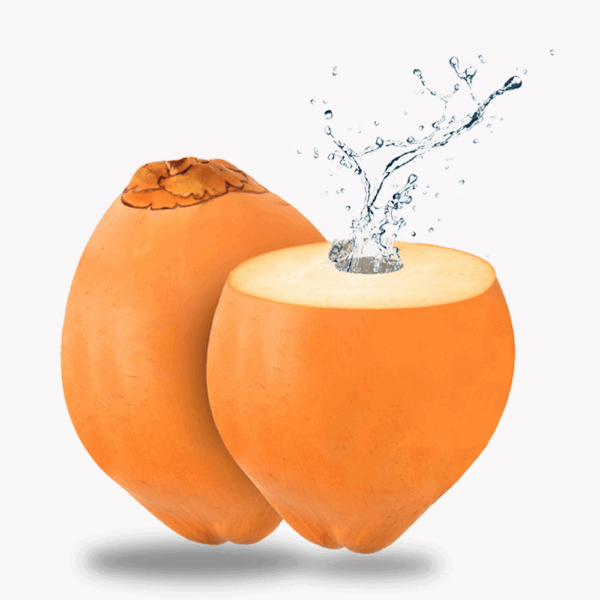 King Coconut