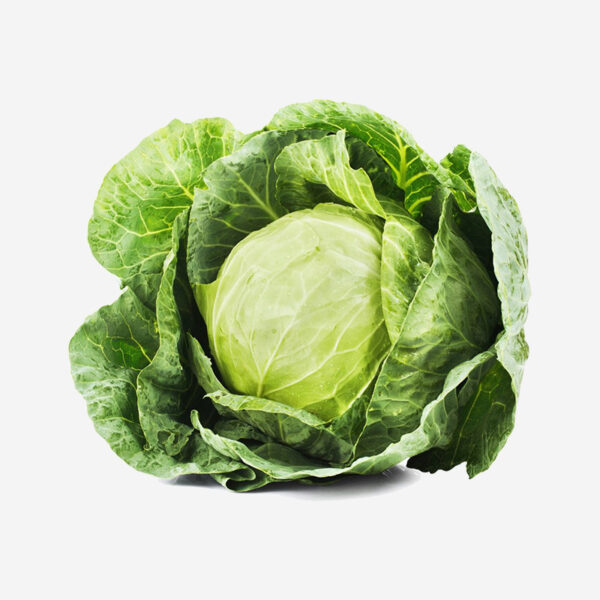 Cabbage US