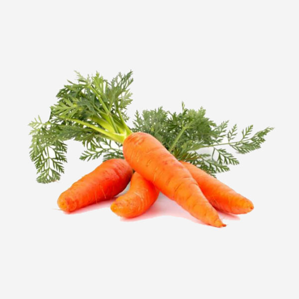Carrots Red - Image 3