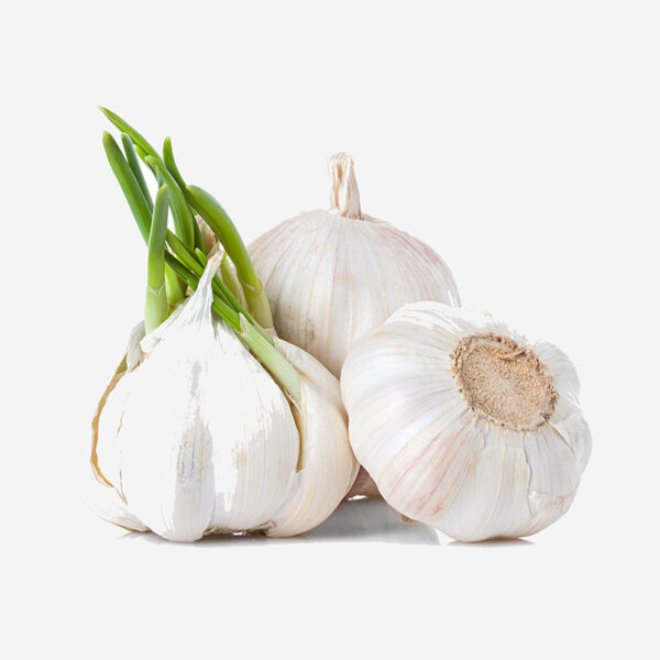 Garlic Australian