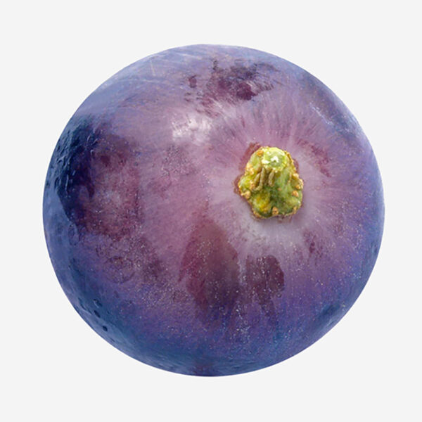 Blueberries - Image 3